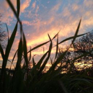 Meet your Posher, Colbie